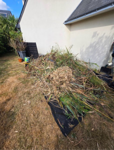 Photo de galerie - Évacuation de déchets végétaux. 