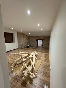 Photo de galerie - Petit Reno