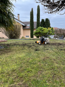 Photo de galerie - Scarification 