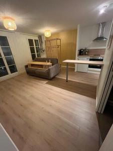 Photo de galerie - Remplacement de parquet flottant