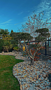 Photo de galerie - Massif jardin en gazon