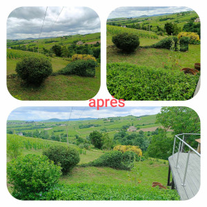 Photo de galerie - Prise après 