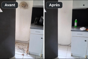 Photo de galerie -  Exploit du jour pour une cliente  ..... Nettoyage derrière un  refrigerateur tant bien que mal...mais satisfaite .