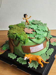 Photo de galerie - Thème livre de la jungle 