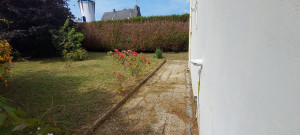 Photo de galerie - Tonte de pelouse - Débroussaillage