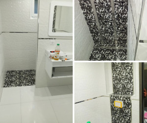 Photo de galerie - Carrelage douche /toilette