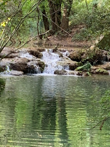 Photo de galerie - Paysage 