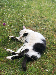 Photo de galerie - Mon papi