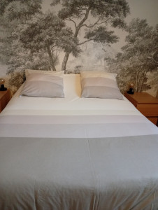 Photo de galerie - Réfection de lit , ménage habituel chez particulier