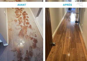 Photo de galerie - Travail de nettoyage