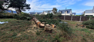 Photo de galerie - Abattage terminé 