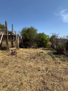 Photo de galerie - Paysagiste - Aménagement du jardin