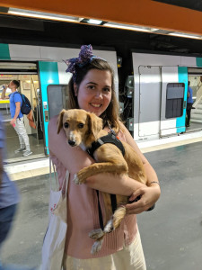 Photo de galerie - Garde animaux