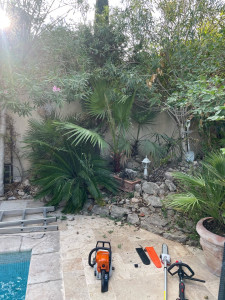 Photo de galerie - Entretien de jardin 