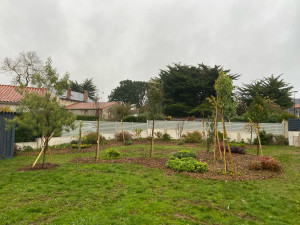 Photo de galerie - Réalisation d’une zone arborée 