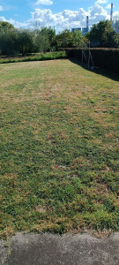 Photo de galerie - Entretien d'une pelouse 