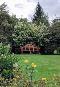 Photo de galerie - Entretien du jardin général 