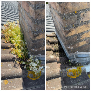 Photo de galerie - Nettoyage et entretien autour d’une souche de cheminée. Retrait de la mousse, des plantes et des débris qui retenaient l'humidité pour garantir une bonne évacuation de l'eau et éviter les infiltrations sous les tuiles.