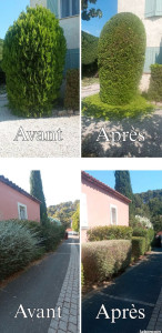 Photo de galerie - Jardinage 