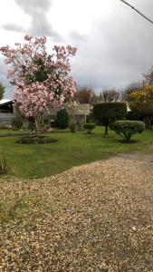 Photo de galerie - Entretien mensuel 