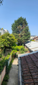 Photo de galerie - J'ai abattu cette arbre