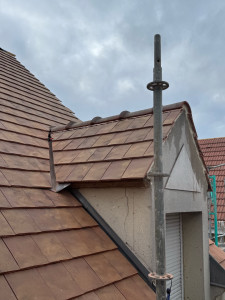 Photo de galerie - Chien-assis