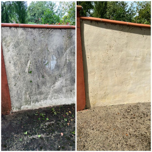 Photo de galerie - Avant / après 