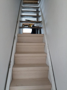 Photo de galerie - Rénovation escalier .