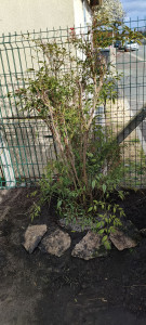 Photo de galerie - Jardinier