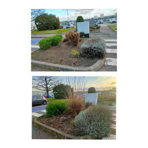 Photo de galerie - Taille