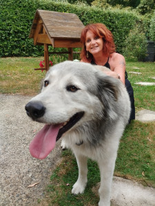 Photo de galerie - L'adorable Patou/Husky dans mon jardin lorsque j'ai eu le plaisir de le garder pendant les 2 semaines de vacances de son maître 