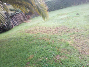 Photo de galerie - Jardin avec trou de sanglier rebouché






trou rebouché après passage de sanglier

