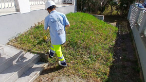 Photo de galerie - Debroussaillage chez le client 