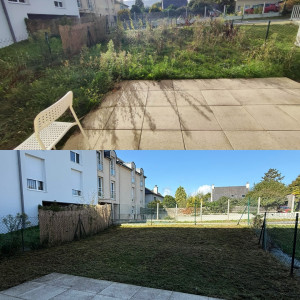 Photo de galerie - Tonte de pelouse - Débroussaillage