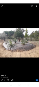 Photo de galerie - Plantation plus pose bâche 