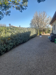 Photo de galerie - Taille