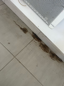 Photo de galerie - Sol encrassé 