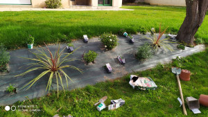 Photo de galerie - Plantation vivaces et arbustes sur talus déjà bâché. 