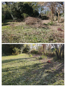 Photo de galerie - Enlèvement déchets verts 