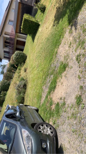 Photo de galerie - Tonte de pelouse - Débroussaillage