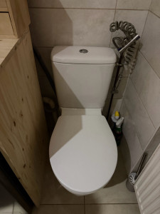 Photo de galerie - Remplacement de wc