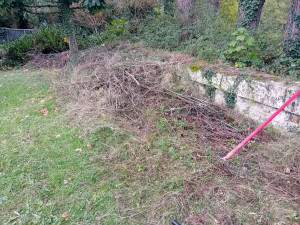 Photo de galerie - J aime faire tout ce qui concerne la propreté et le rangement. 