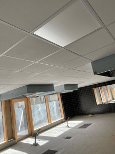 Photo de galerie - Plafond, démontable