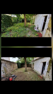 Photo de galerie - Entretien des espaces verts 