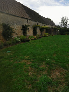 Photo de galerie - Paysagiste - Aménagement du jardin