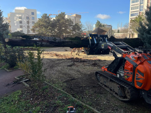 Photo de galerie - Elagage et coupe d'arbres