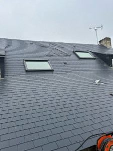 Photo de galerie - Rénovation d’une maison de 100m2 réalisation d’une hermine?