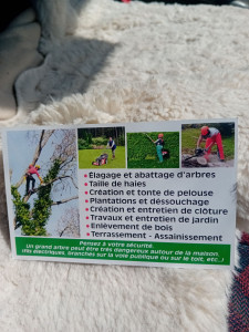 Photo de galerie - A