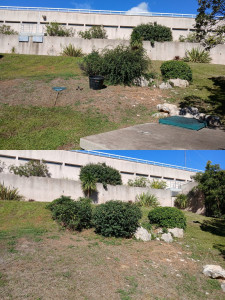 Photo de galerie - Réalisation de la taille des arbustes afin de favoriser leur développement, d'améliorer leur esthétique et d'assurer un entretien soigné des espaces verts. Évacuation des déchets verts et nettoyage complet de la zone d'intervention.