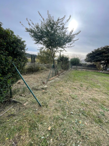 Photo de galerie - Tonte de pelouse - Débroussaillage